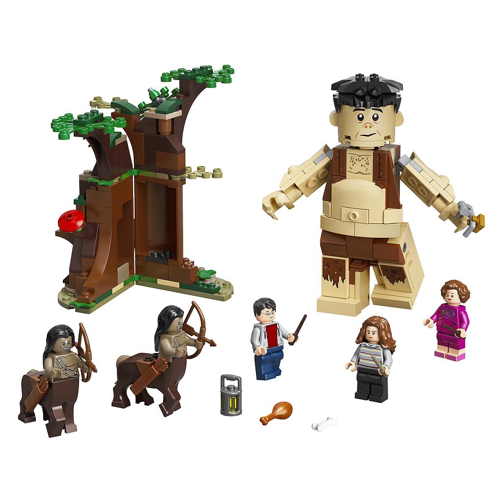 LEGO Harry Potter Keelatud mets:Umbridge´i paljastamine 75967
