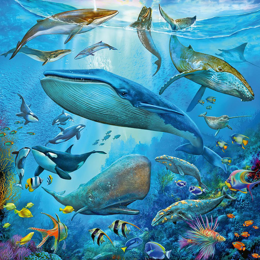 Ravensburger pusle 3x49 Veealune maailm