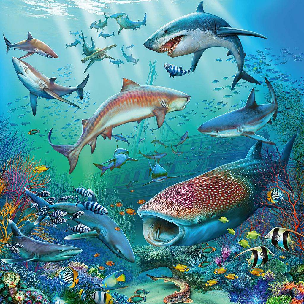 Ravensburger pusle 3x49 Veealune maailm