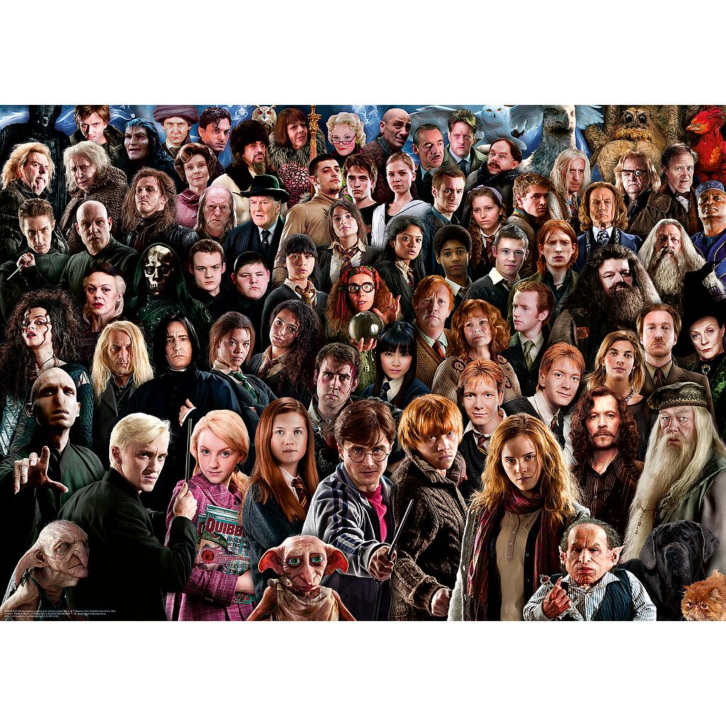 Ravensburger pusle 1000 tk Harry Potter