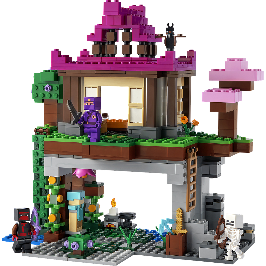 LEGO Minecraft Harjutusväljak