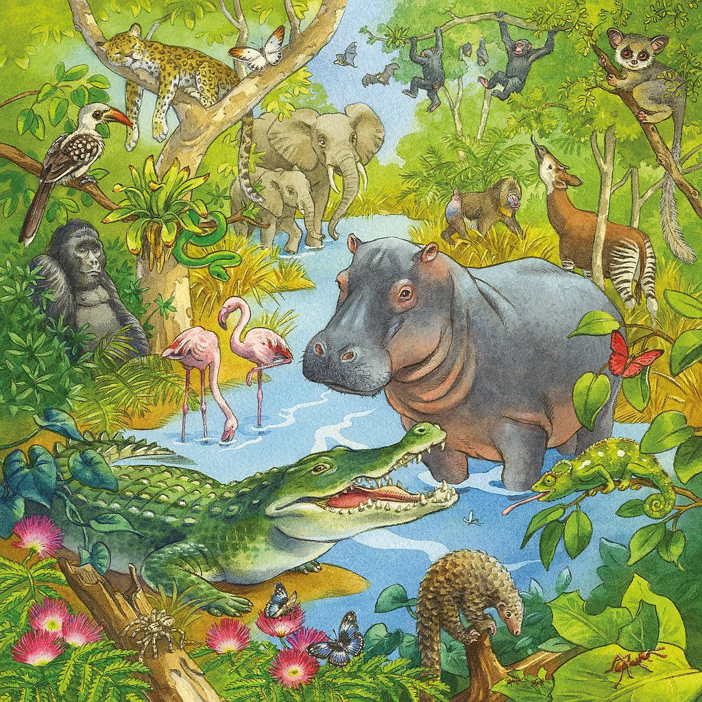 Ravensburger pusle 3x49 tk Džungli lõbu