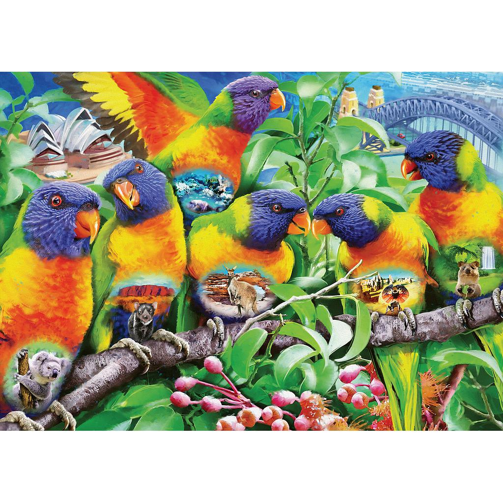 Ravensburger pusle 1000 tk Papagoid