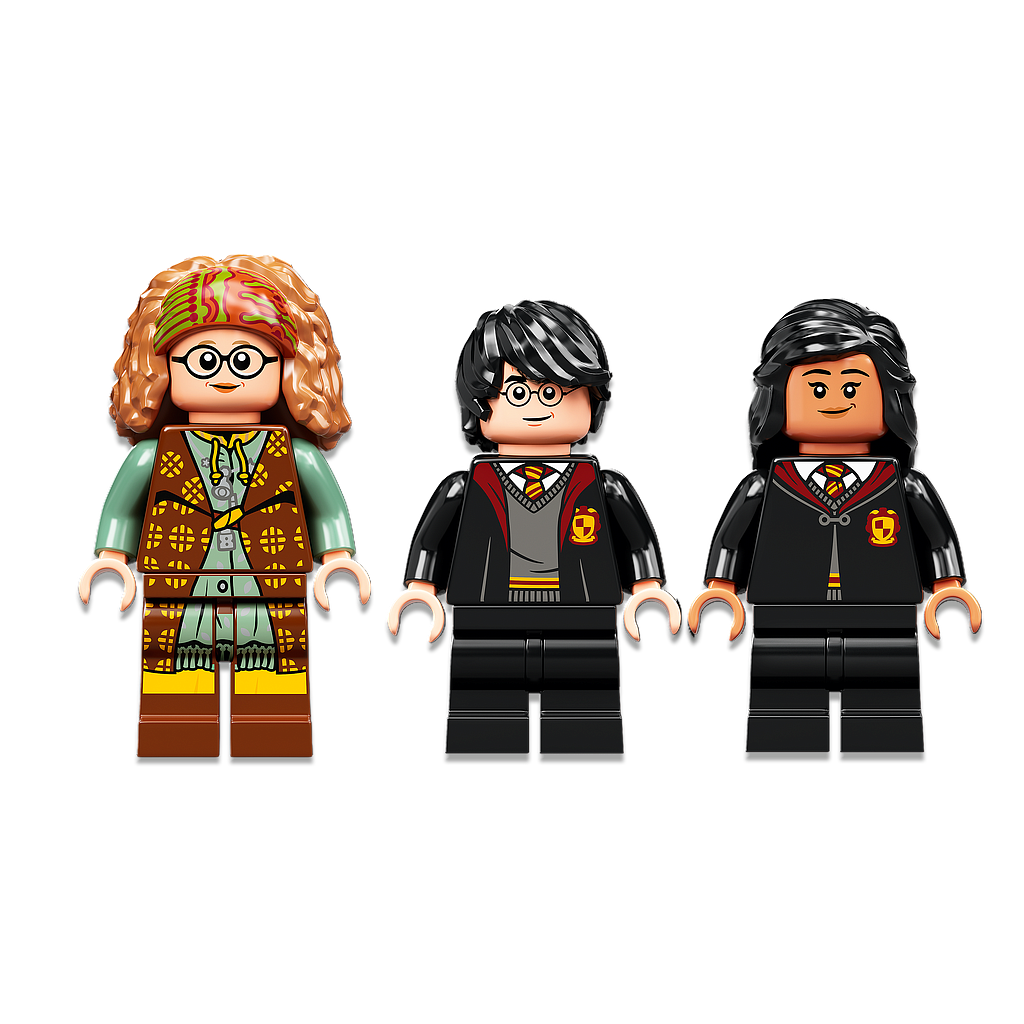LEGO HARRY POTTER  Sigatüüka hetk: ennustamistund