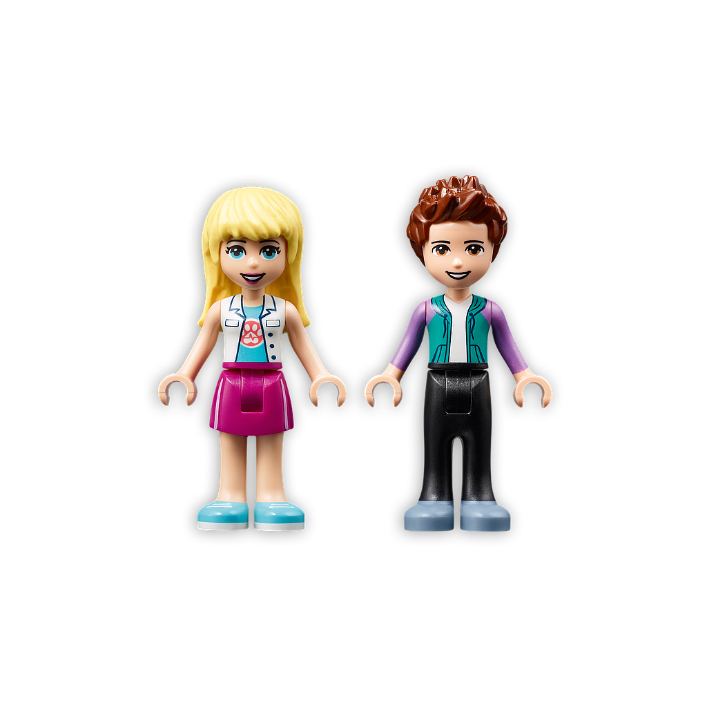 LEGO FRIENDS Lemmikloomakliiniku kiirabi 