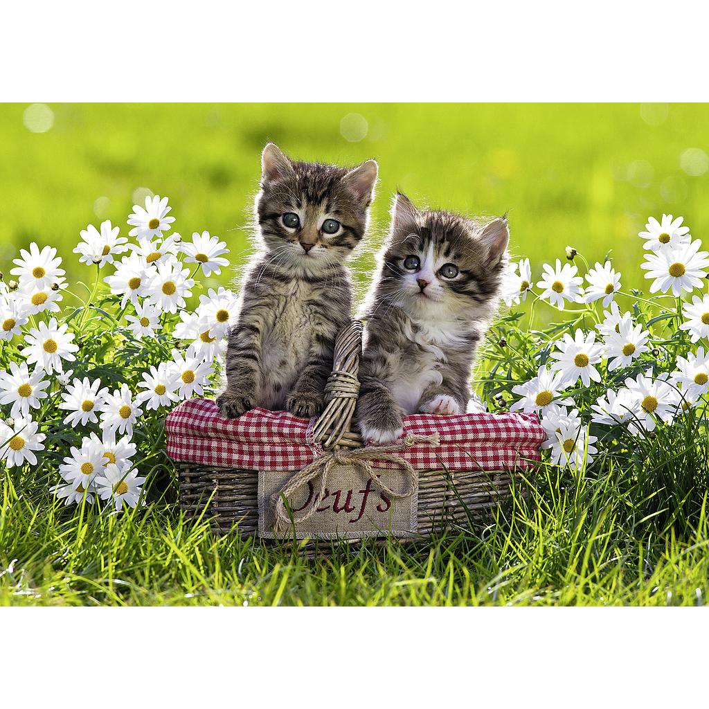 ravensburger_pusle_1000_tk_kiisud_piknikul_194803V_1