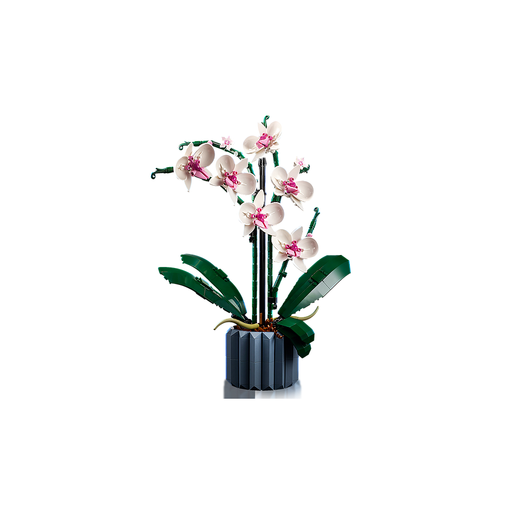 lego__orchid_10311L_1