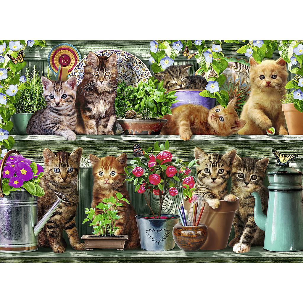 ravensburger_pusle_500_tk_kassid_riiulil_148240V_1