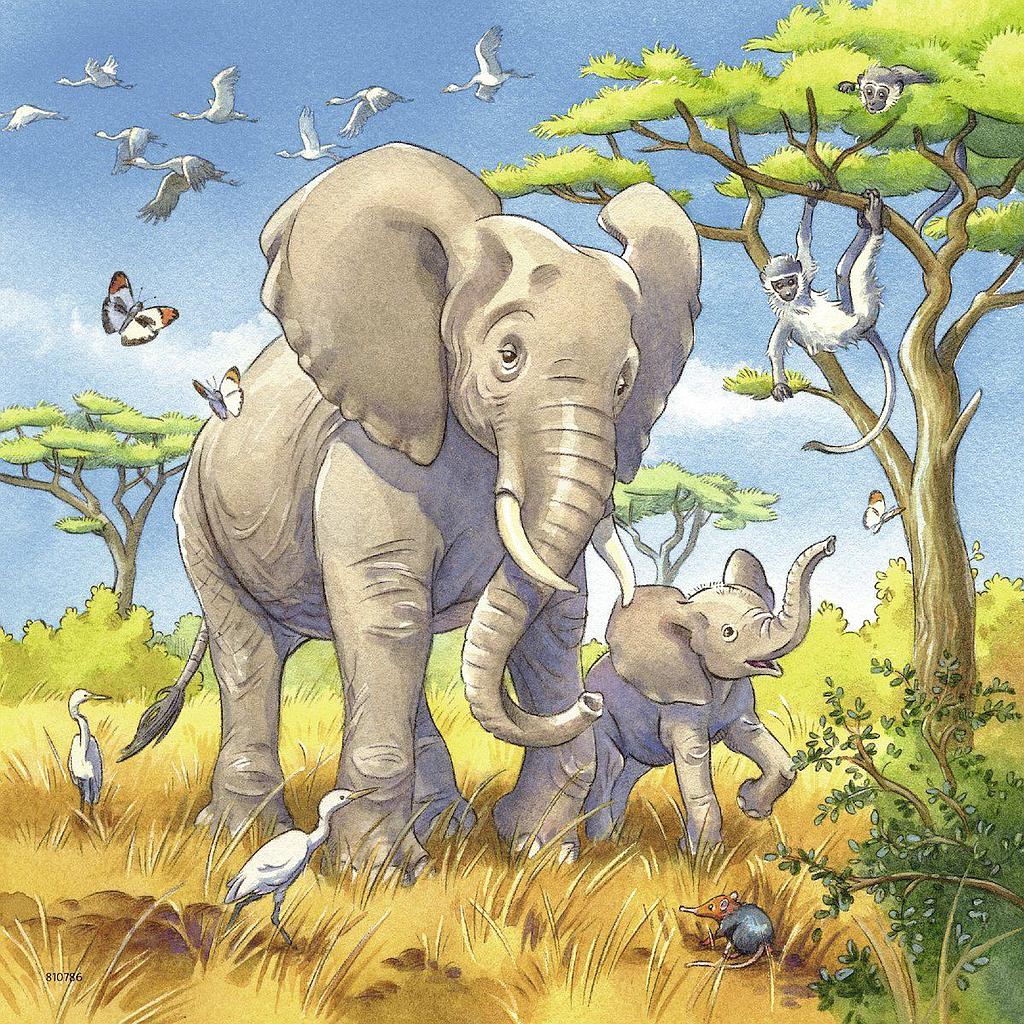 ravensburger_pusle_3x49_tk_metsloomad_080038V_2