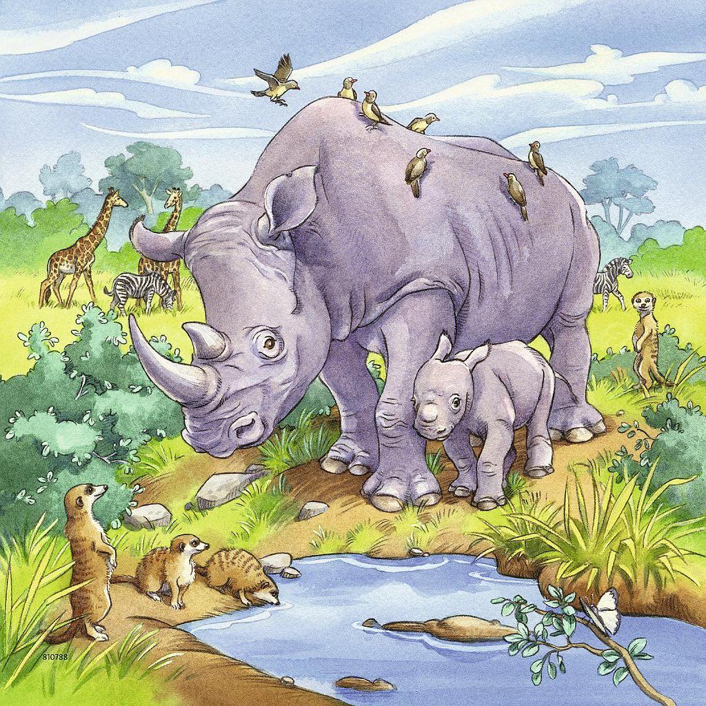 ravensburger_pusle_3x49_tk_metsloomad_080038V_3