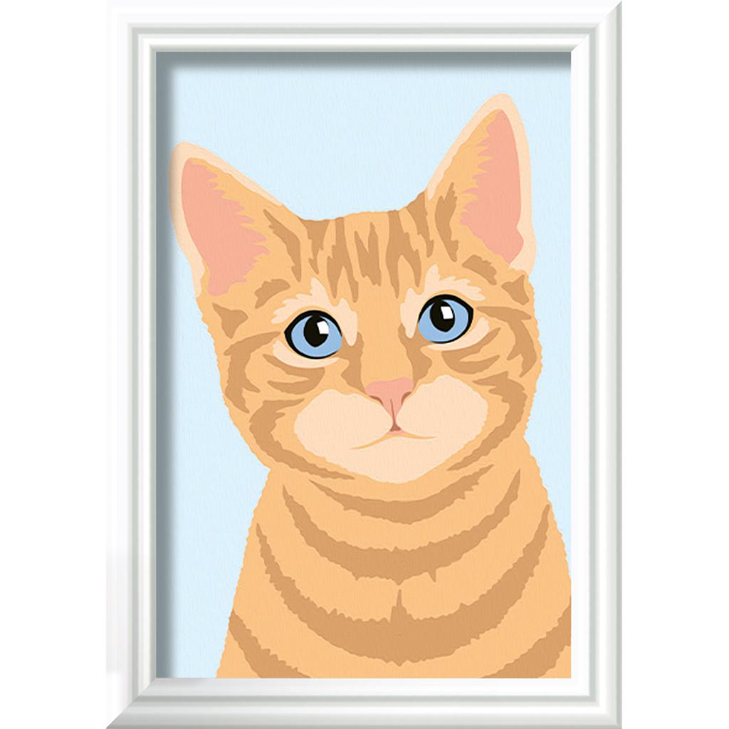 ravensburger_maalimine_numbrite_järgi_oranž_tabby_237173V_1