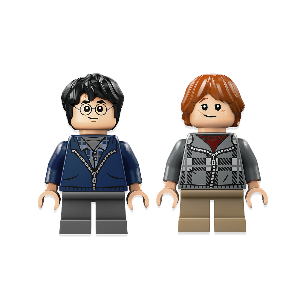 lego_harry_potter_aragog_keelatud_metsas_76434L_4