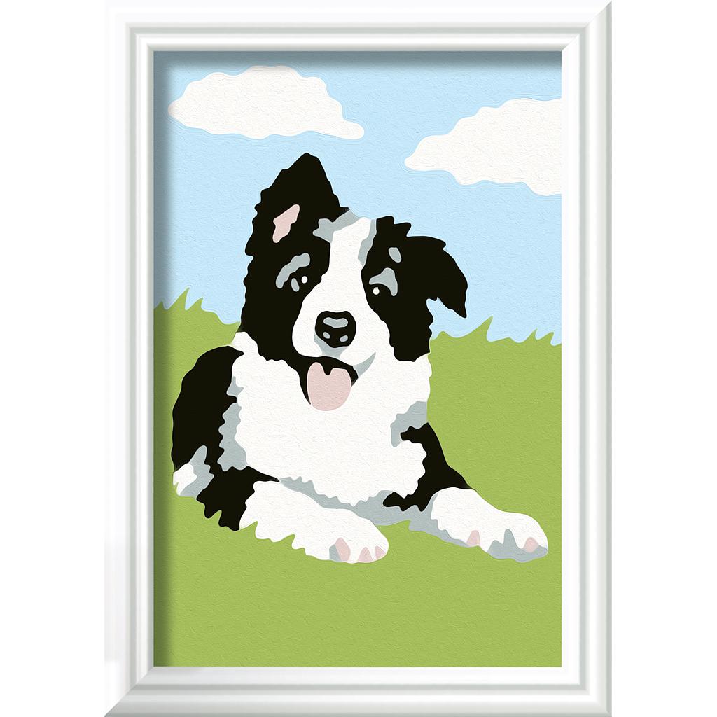 ravensburger_maalimine_numbrite_järgi_borderkolli_236831V_1