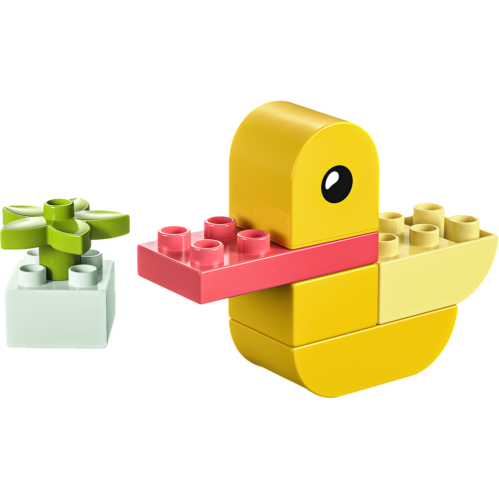 lego_duplo_minu_esimene_part_30673L_1