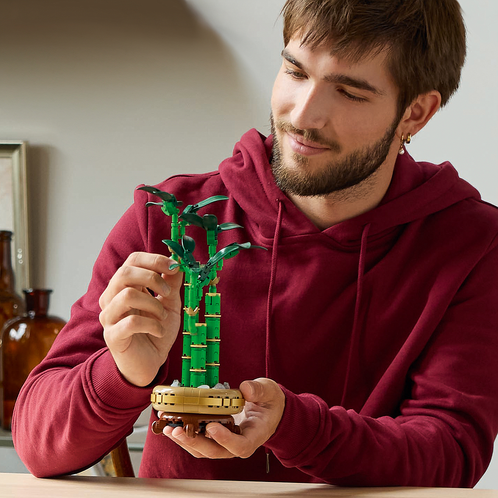 lego_botanicals_õnnetoov_bambus_10344L_2