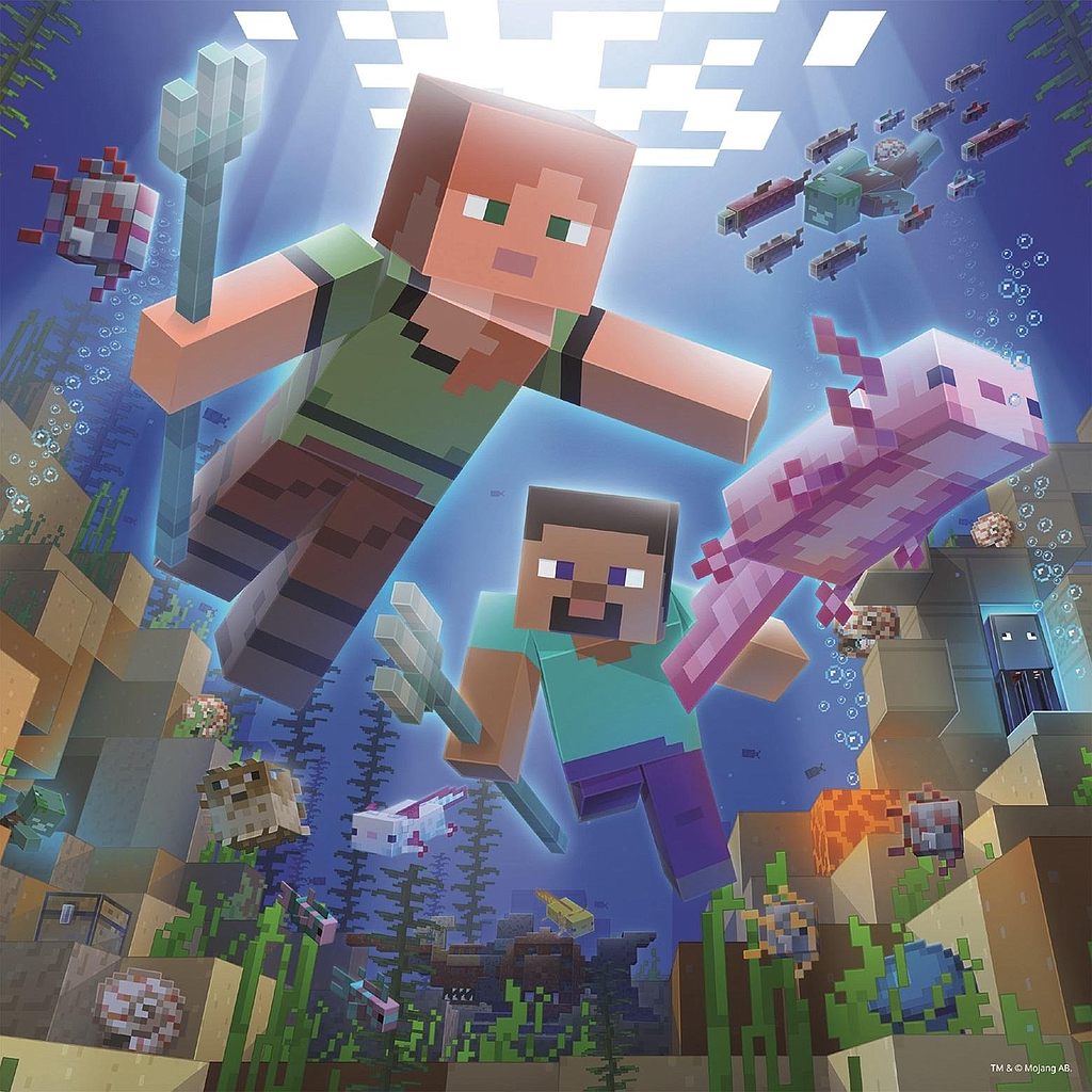 ravenburgeri_pusle_3x49_tk_minecraft_056217V_3