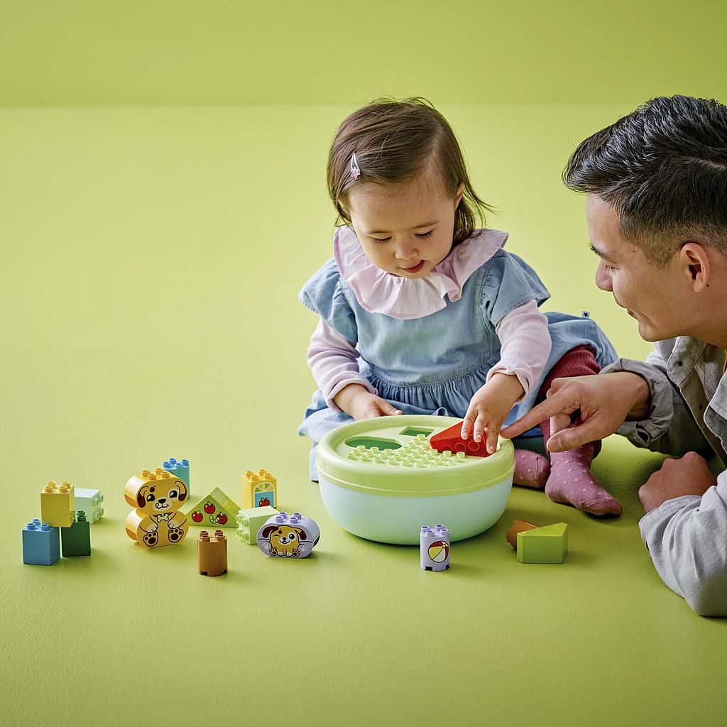 lego_duplo_kujude_sorteerimine:_kutsika_maja_10441L_3