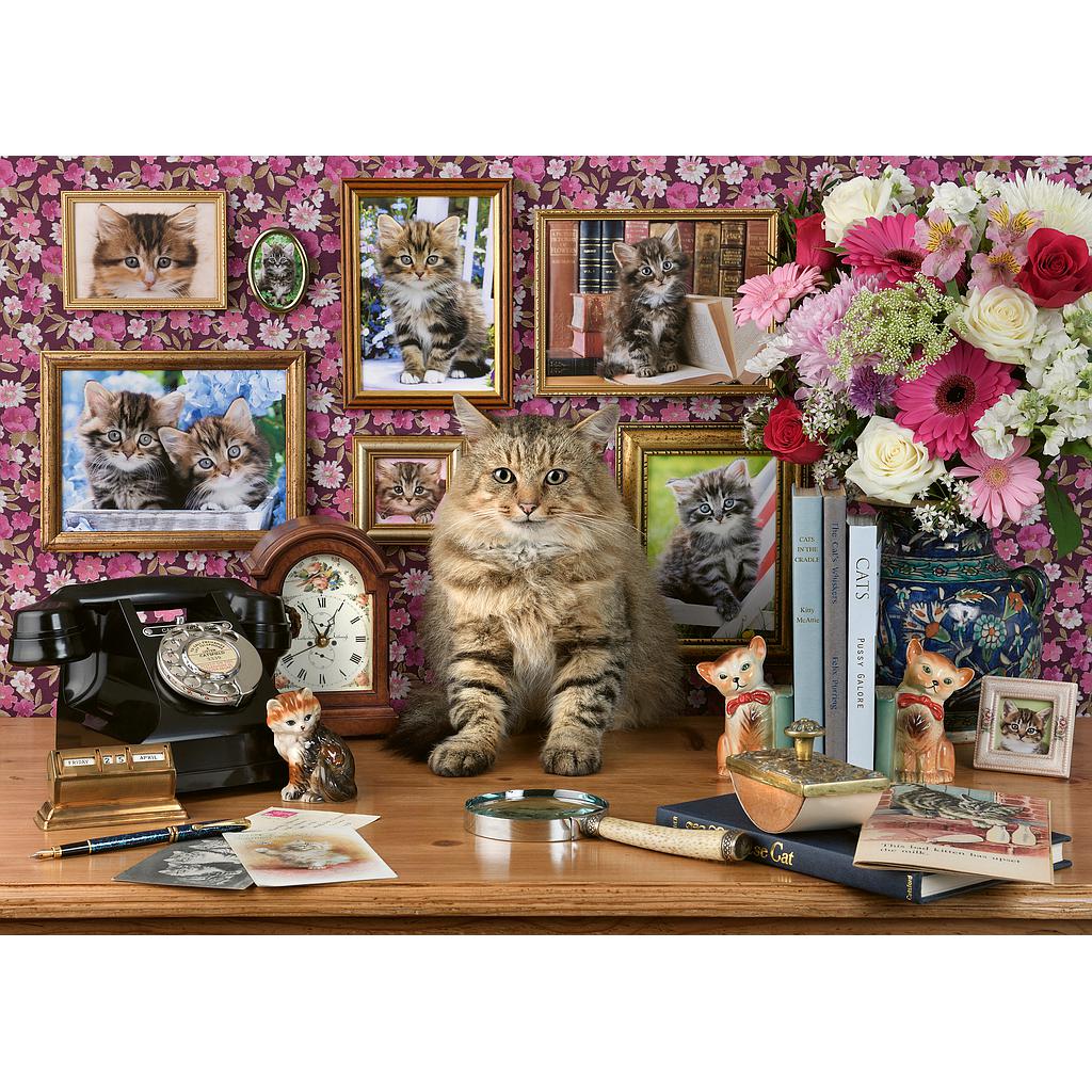 ravensburger_pusle_1000_tk:_minu_armas_kassike_12000482V_1