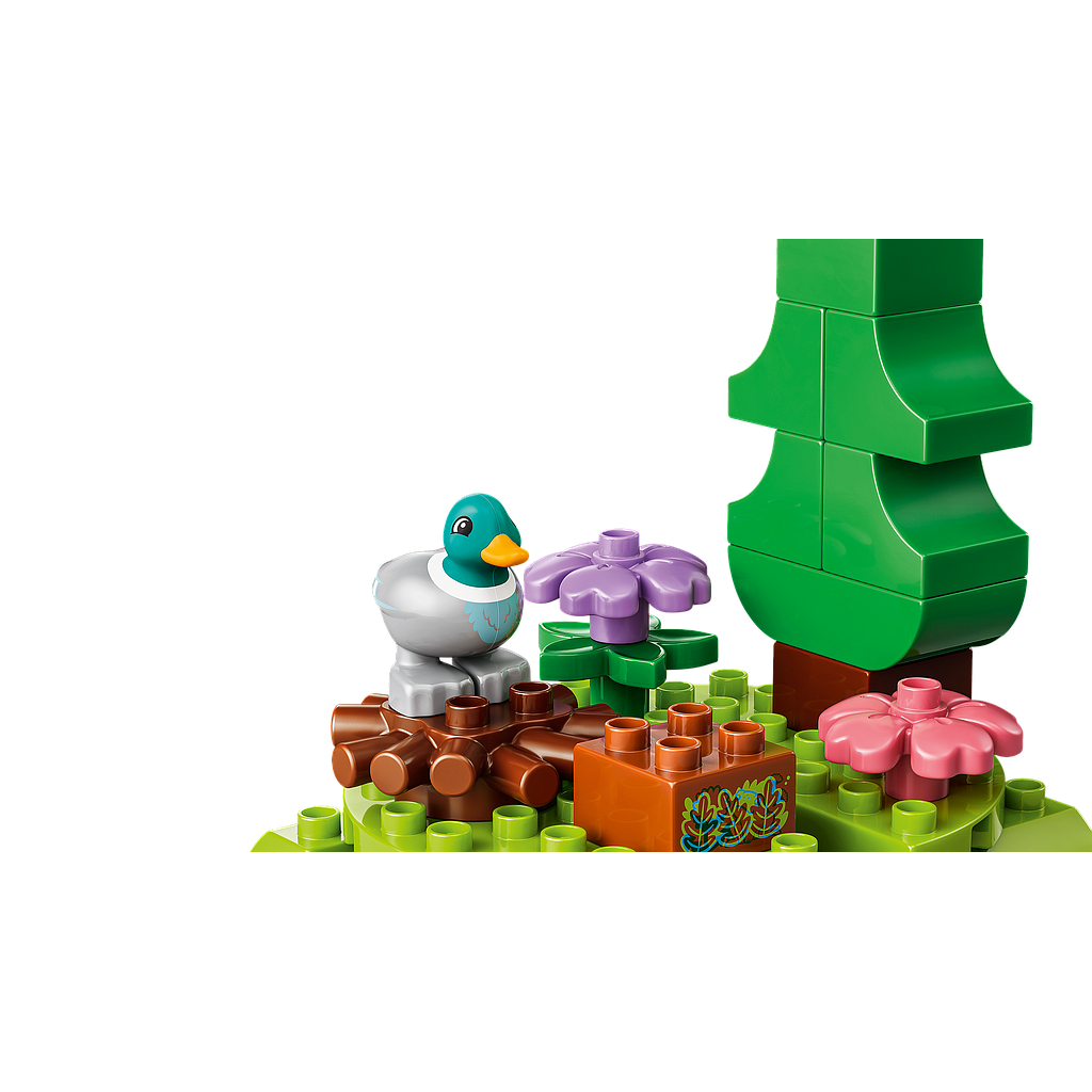 lego_duplo_avasta_metsa_koos_metsloomadega_10480L_7