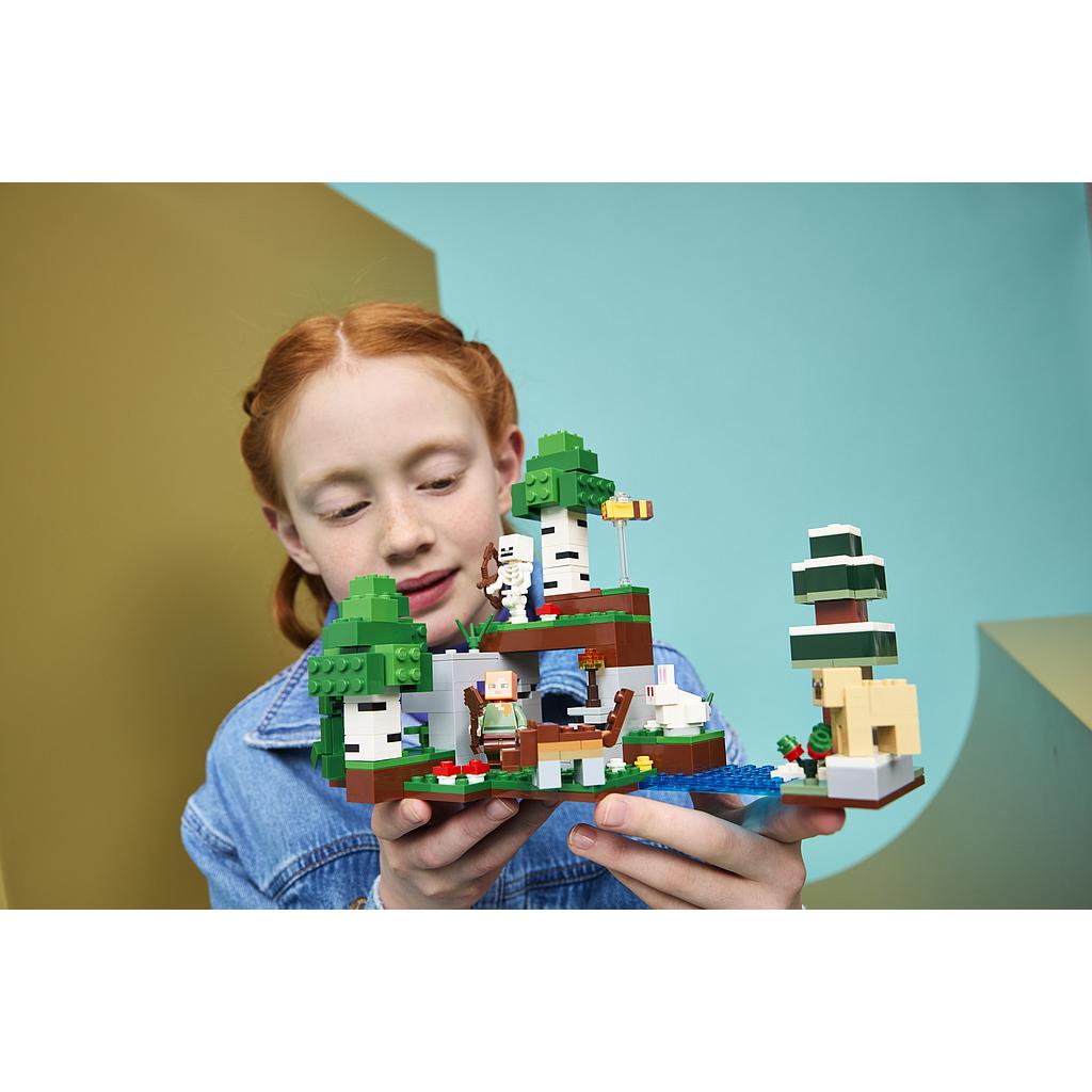 lego_minecraft_esimese_öö_seiklus_21593L_9