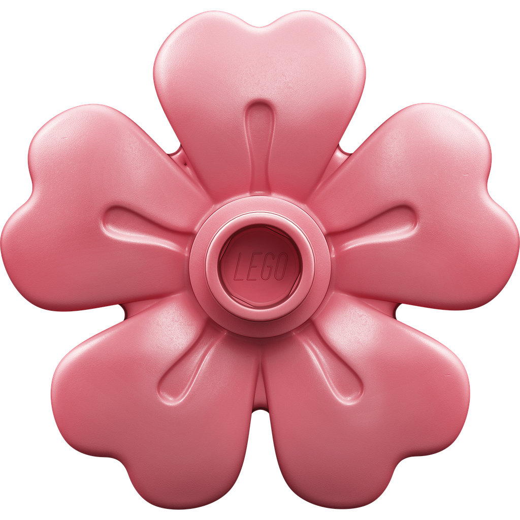 lego_duplo_peokook_30712L_1