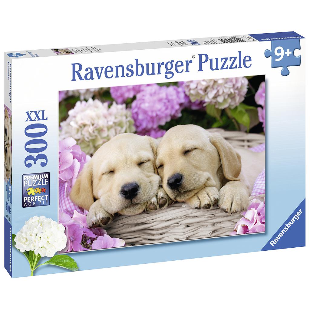 Ravensburger pusle 300 tk Kutsud korvis