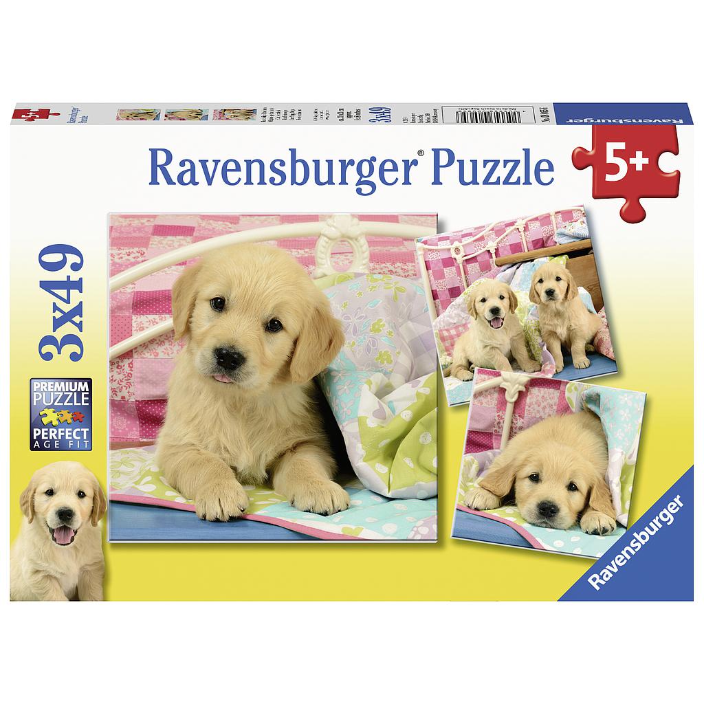 Ravensburger pusle 3x49 tk Kutsud