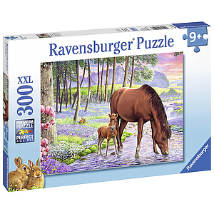 Ravensburger Puzzle 300 pc Serene Sunset