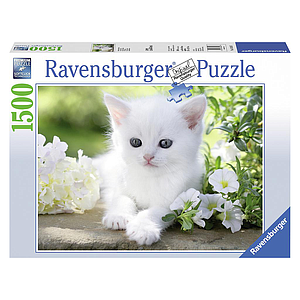 Ravensburger Puzzle 1500 pc White Kitten
