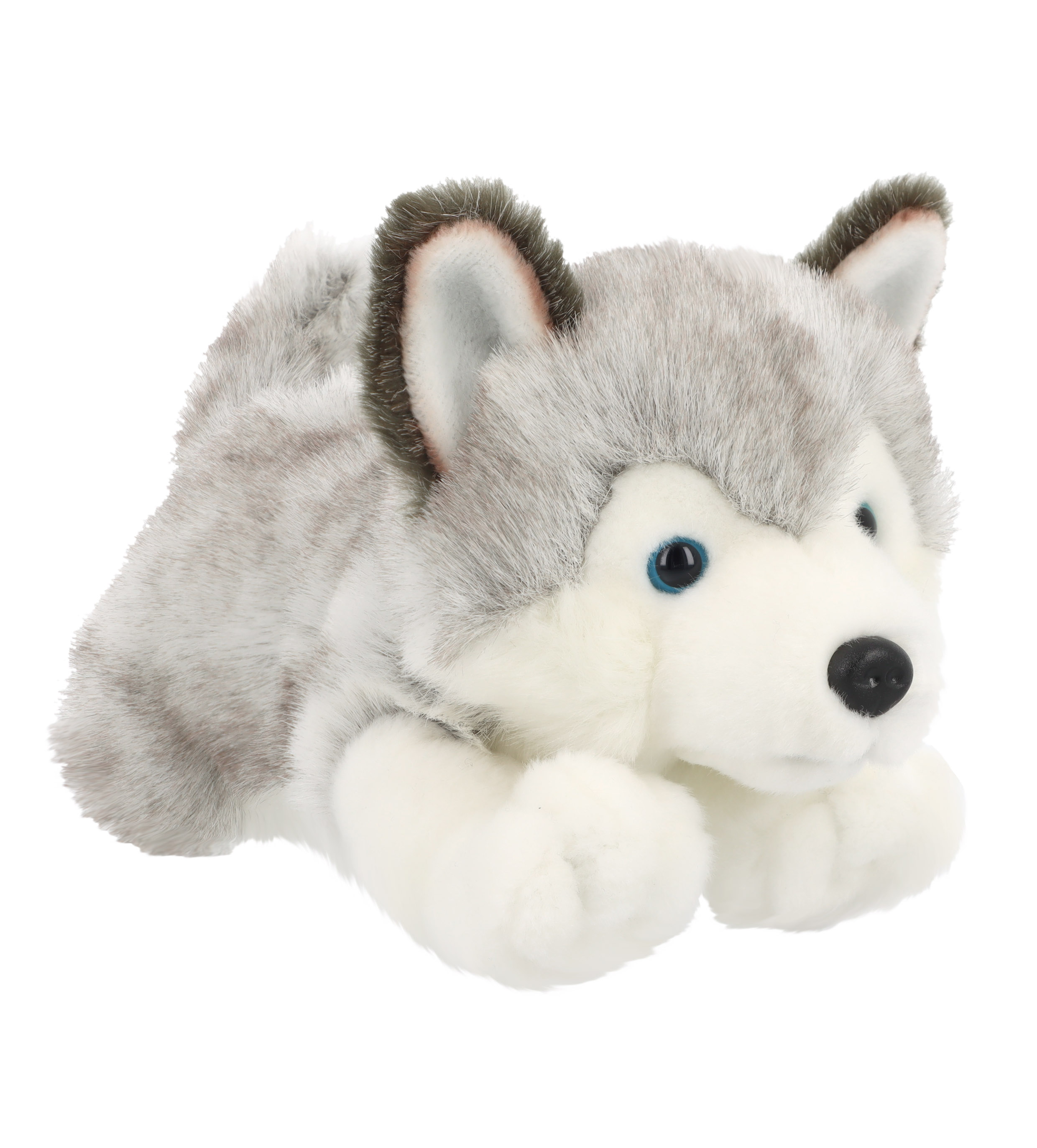 Keel Toys Signature kutsikas Husky 30 cm