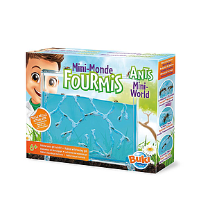 Buki Ants Mini-World