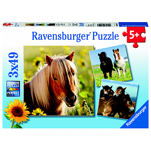 Ravensburger Puzzle 3x49 Pieces: Loving Horses
