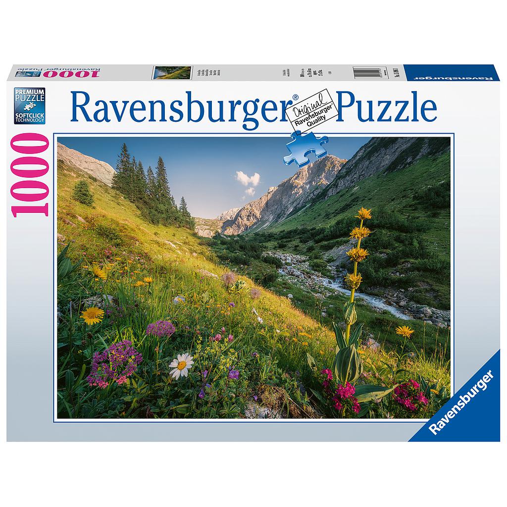 Ravensburger pusle  1000 tk Maagiline org