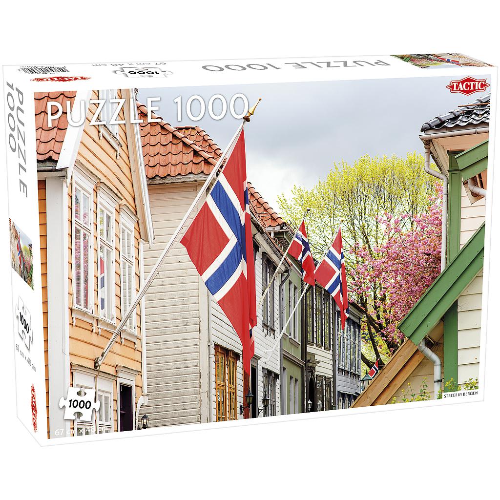 Tactic Puzzle 1000 pc Street in Bergen