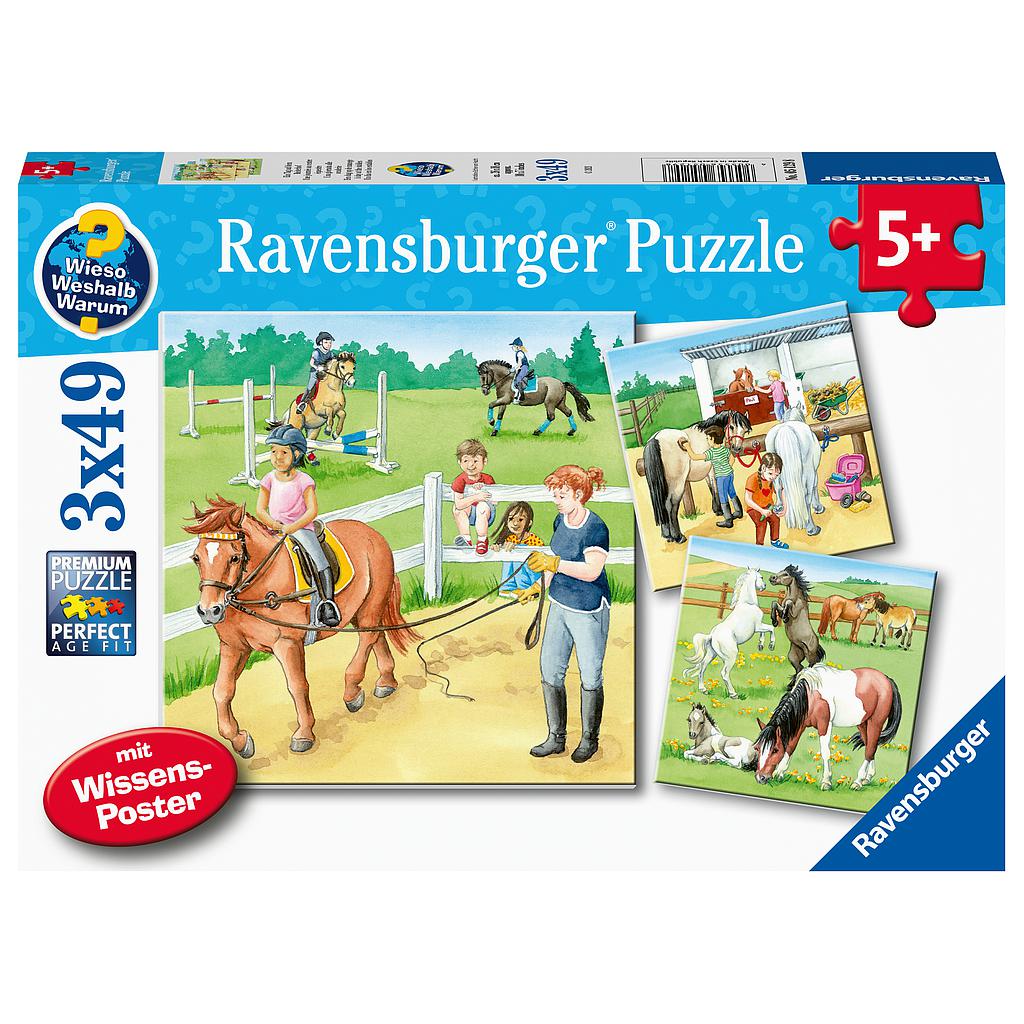 Ravensburger pusle 3x49 tk Hobused