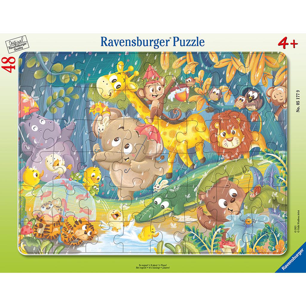 Ravensburger Frame Puzzle 48 pc It's Raining