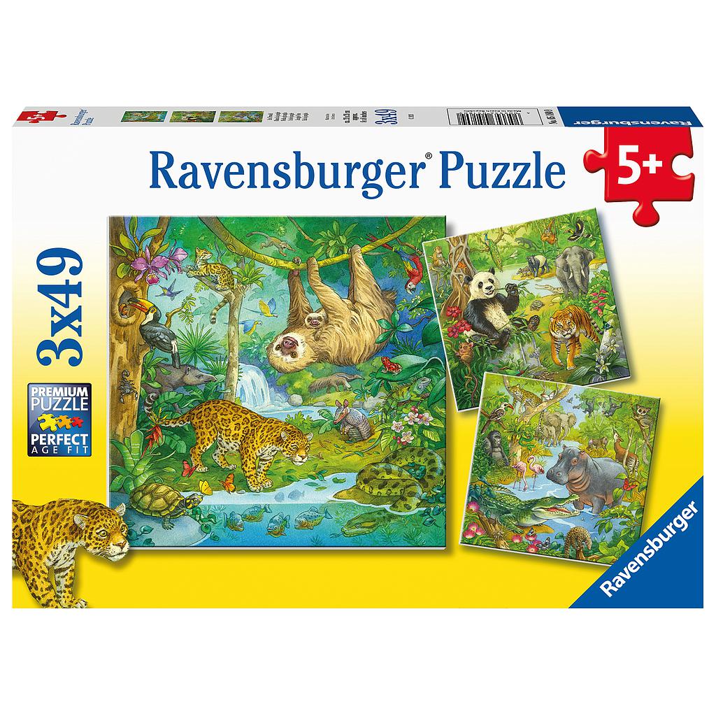 Ravensburger pusle 3x49 tk Džungli lõbu