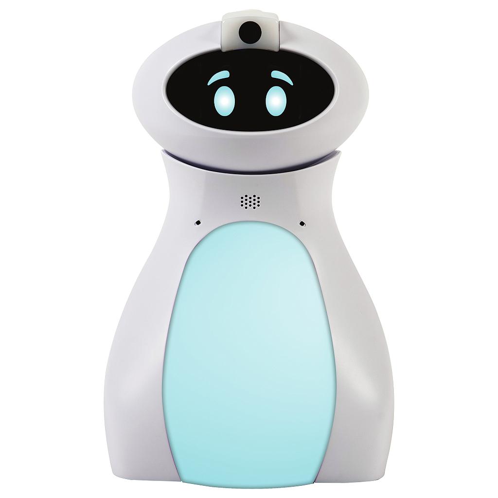 TTS Oti Bot robot