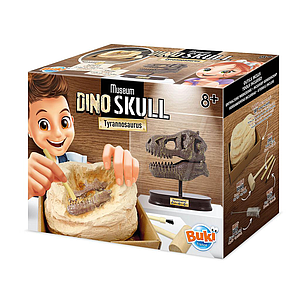 Buki Dinosaur skull - Tyrannosaurus