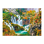 dino_pusle_1000_tk._53257D_1