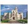 dino_pusle_1000_tk._hluboka_kindlus_53287D_3