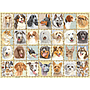 pusle_500_tk._koera_portreed_167586V_1