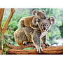 pusle_200_tk_koaala__129454V_1