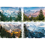 ravensburger_puzzle_18000_pc_castle_through_the_seasons_161379V_1