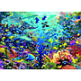 ravensburger_pusle_9000_tk_veealune_paradiis_178070V_1