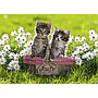 ravensburger_pusle_1000_tk_kiisud_piknikul_194803V_1