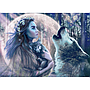 ravensburger_puzzle_1000_pc_moonlight_magic_173907V_1