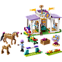 lego_friends_hobuste_koolitus_41746L_2