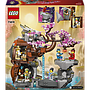 lego_ninjago_draakonikivi_pühamu_71819L_5