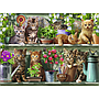 ravensburger_pusle_500_tk_kassid_riiulil_148240V_1